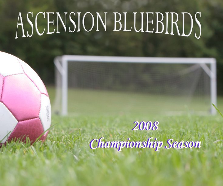 View Ascension Bluebirds by Todd Godefroid