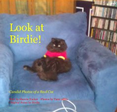 Look at Birdie! book cover