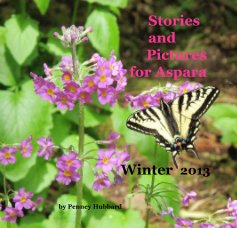 Stories and Pictures for Aspara Winter 2013 book cover