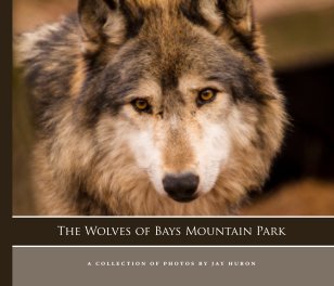 The Wolves of Bays Mountain Park book cover