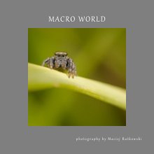 Macro World book cover