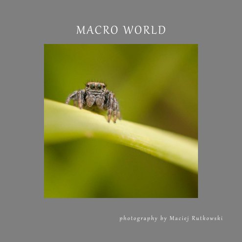 View Macro World by Maciej Rutkowski