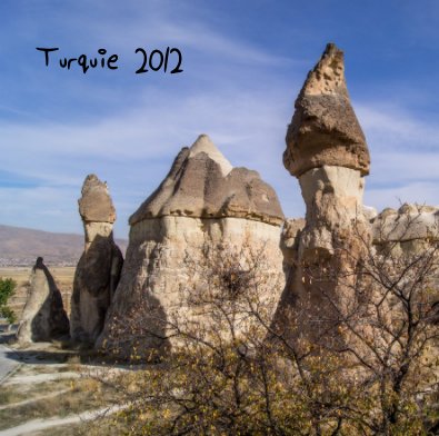 Turquie 2012 book cover