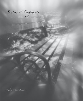 Sentiment Fragments book cover