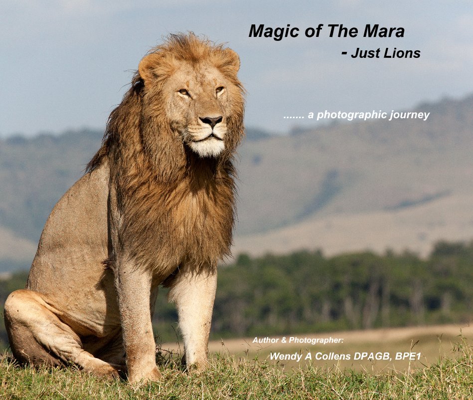 Magic of The Mara - Just Lions nach Author & Photographer: Wendy A Collens DPAGB, BPE1 anzeigen
