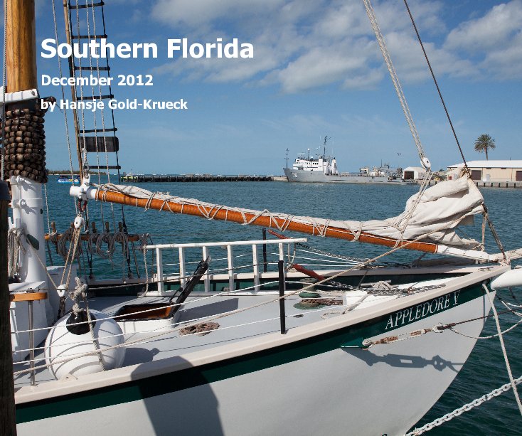 View Southern Florida by Hansje Gold-Krueck