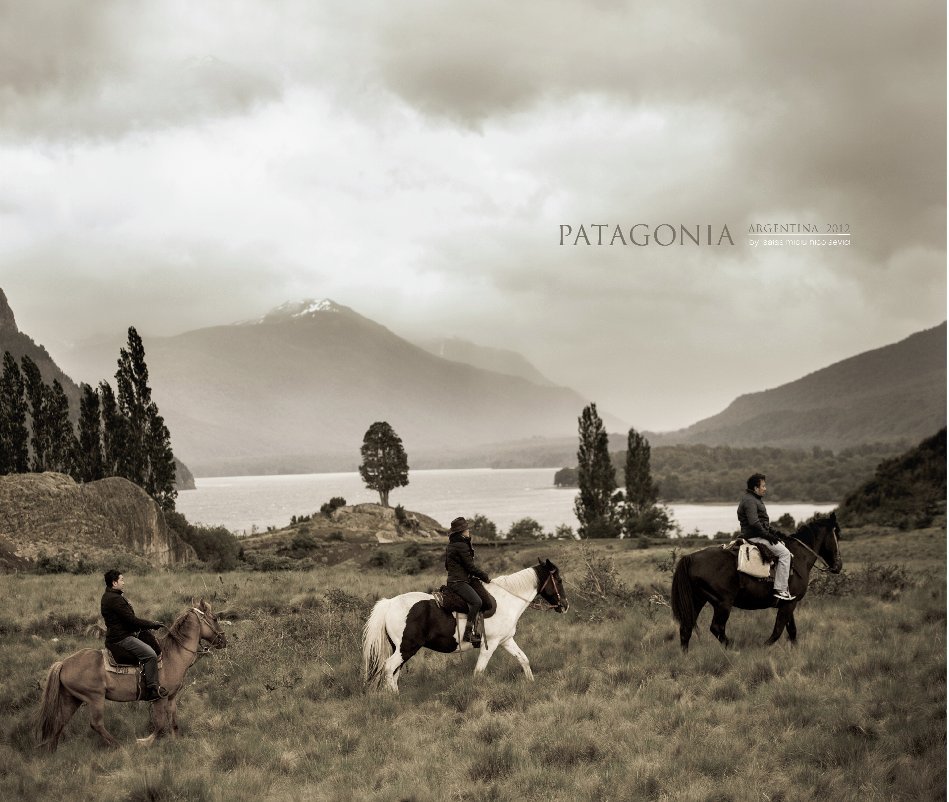 View La Araucana -Patagonia- by isaiasmiciu