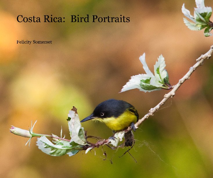 Ver Costa Rica: Bird Portraits por Felicity Somerset