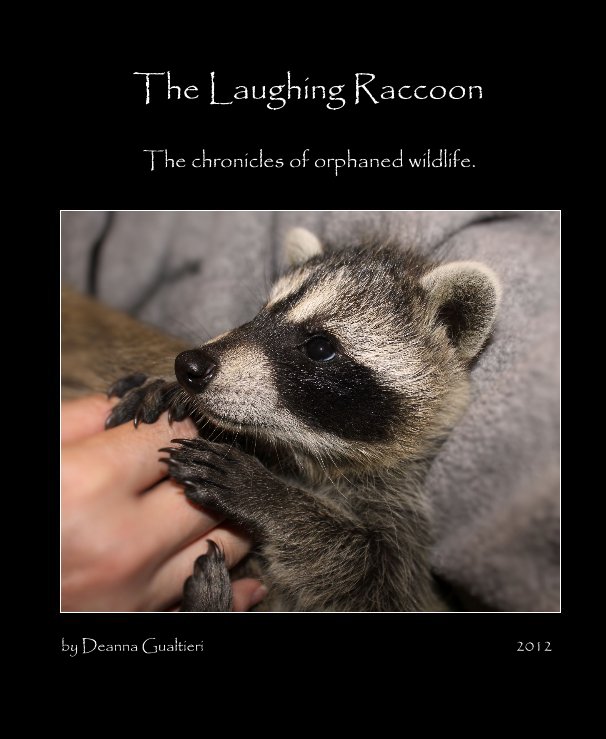 View The Laughing Raccoon by Deanna Gualtieri 2012