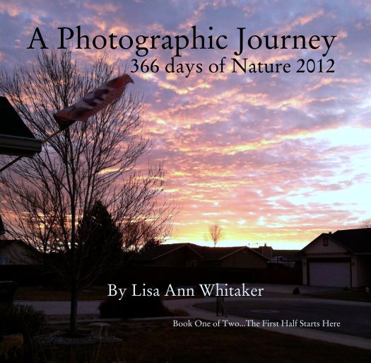 View A Photographic Journey
                     366 days of Nature 2012 by Lisa Ann Whitaker