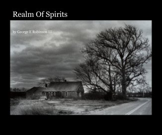 Realm Of Spirits book cover
