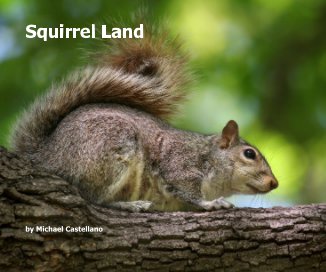 Squirrel Land book cover