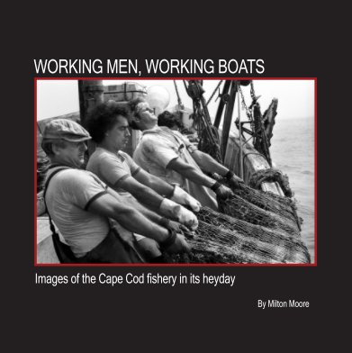 Working Men, Working Boats book cover