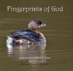 Fingerprints of God book cover