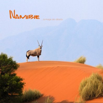 Namibie ... la magie des déserts book cover