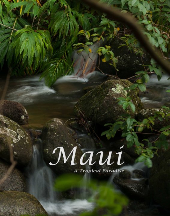 View Maui by Bryan Nelson