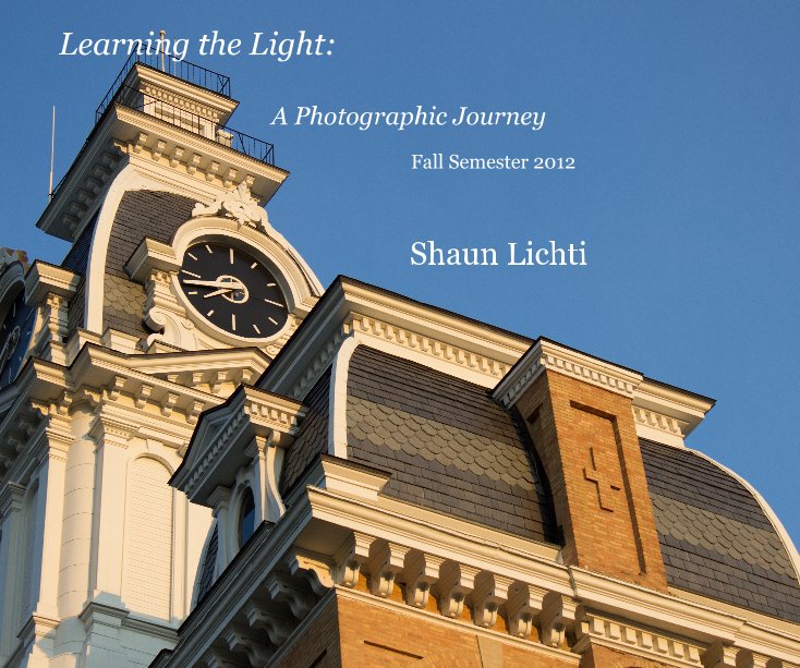 View Learning the Light by Shaun Lichti