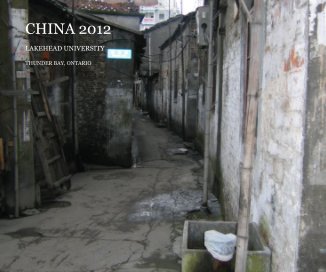 CHINA 2012 book cover