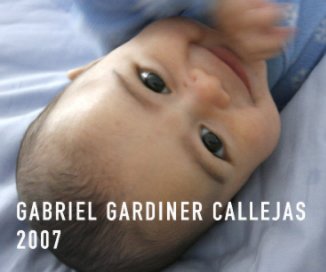 Gabe Gabge C 2007 book cover