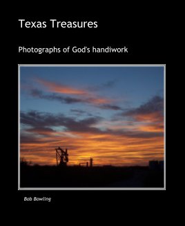 Texas Treasures book cover