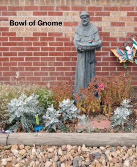 Bowl of Gnome book cover