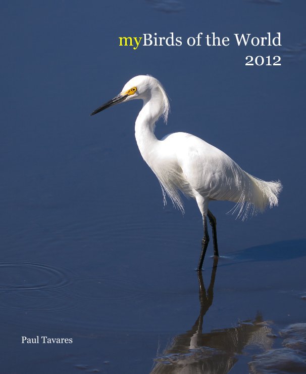 Bekijk myBirds of the World 2012 op Paul Tavares