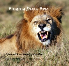 Finding Duba Boy book cover
