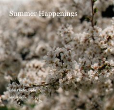 Summer Happenings book cover