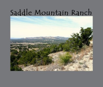 Saddle Mountain Ranch book cover