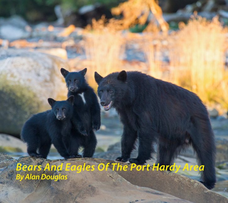 View Bears And Eagles Of The Port Hardy Area by Alan Douglas