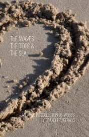 THE WAVES, THE TIDES & THE SEA. book cover