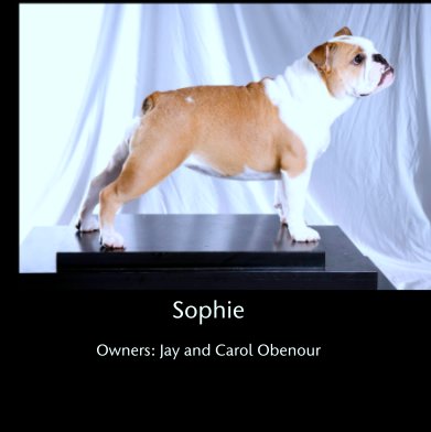 Sophie

Owners: Jay and Carol Obenour book cover