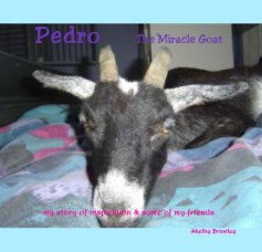 Pedro The Miracle Goat book cover