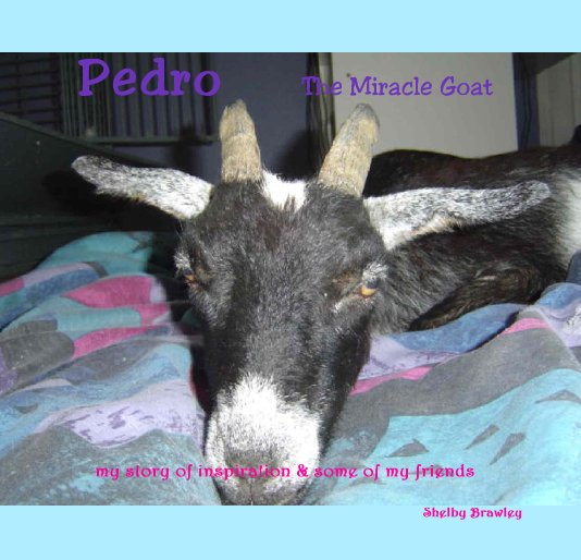 View Pedro The Miracle Goat by Shelby Brawley