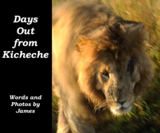 Days Out from Kicheche book cover