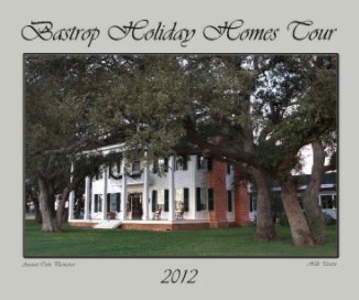 Holiday Homes Tour book cover