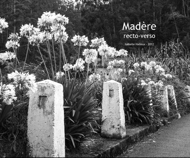 Ver Madère recto-verso Isabelle Halleux - 2012 por Isabelle Halleux 2012
