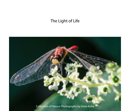 The Light of Life, 2 book cover
