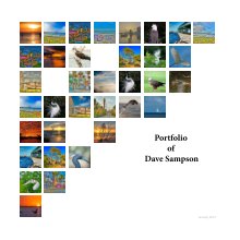 Dave Sampson Portfolio book cover