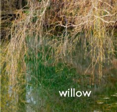 WILLOW book cover