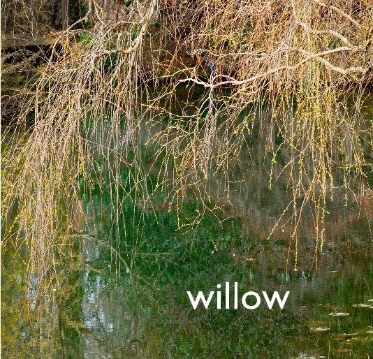 View WILLOW by Michael Woodhead