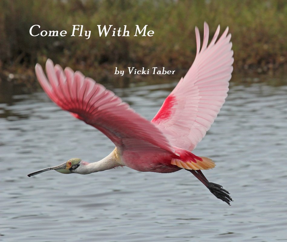 Come Fly With Me nach Vicki Taber anzeigen