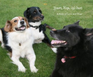 Yours, Mine, and Ours book cover