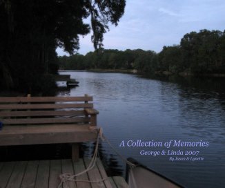 A Collection of Memories book cover