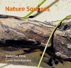 Nature Squares book cover