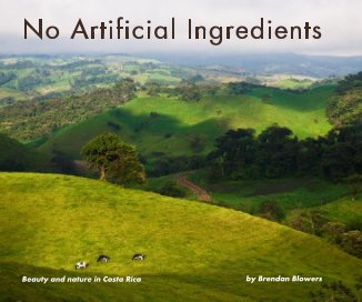 No Artificial Ingredients book cover