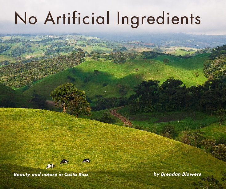 View No Artificial Ingredients by Brendan Blowers