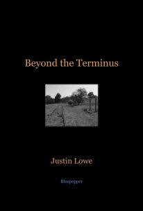 Beyond the Terminus book cover