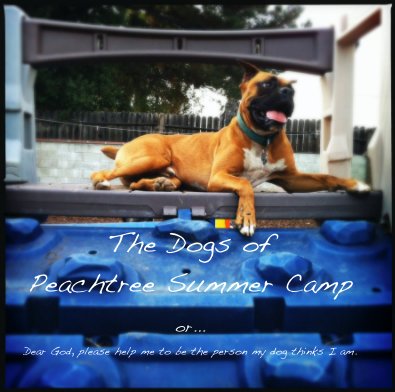 The Dogs of Peachtree Summer Camp or... Dear God, please help me to be the person my dog thinks I am. book cover