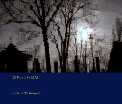 52 Foto's in 2012 book cover